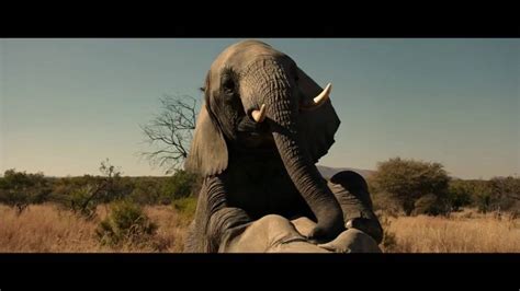 grimsby elephant scene|The brothers grimsby